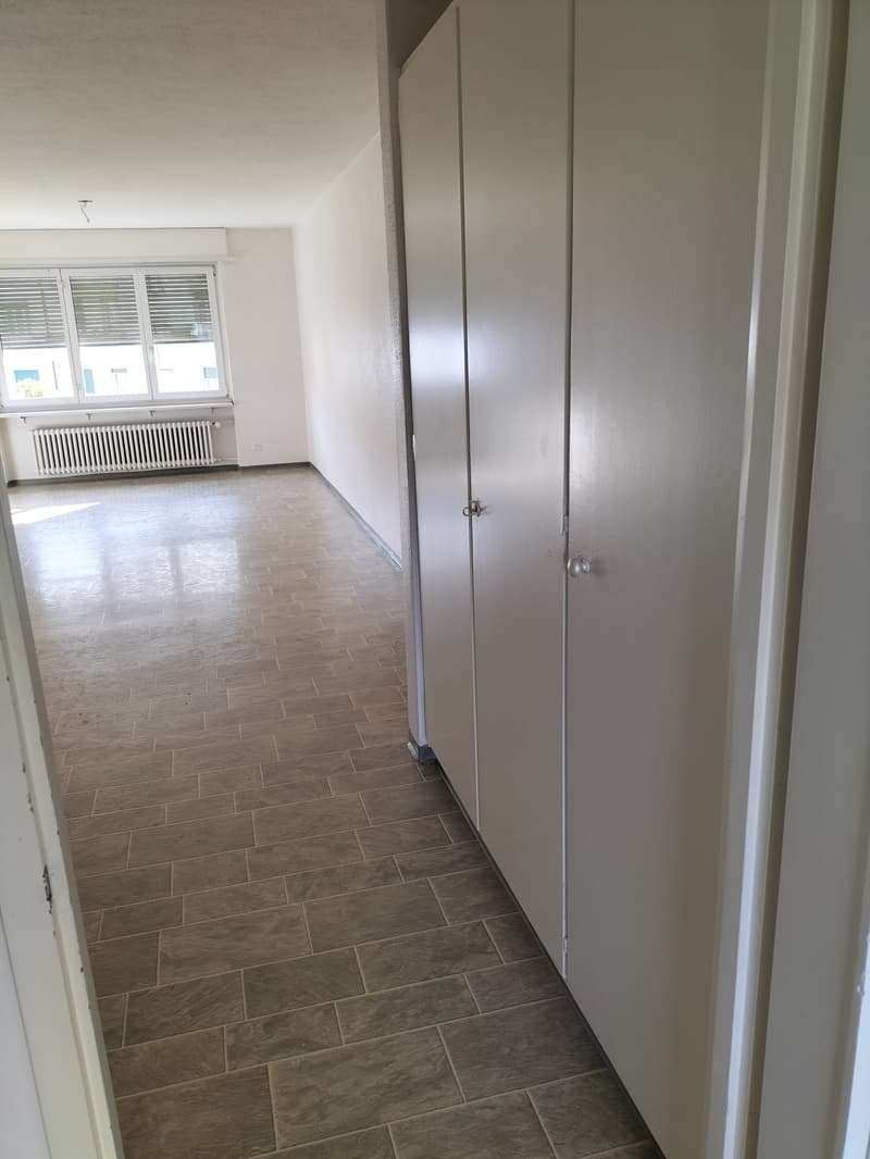 3.5-Zimmer-Wohnung in zentraler Lage von Olten (3)