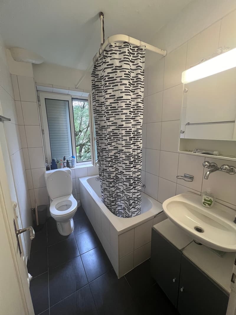 Helle 4-Zimmer-Wohnung an der Baslerstrasse in Olten (3)