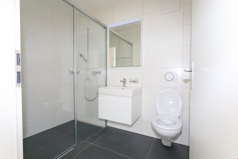 Moderne 2.5-Zimmer-Wohnung in ruhiger Lage in Deitingen (5)