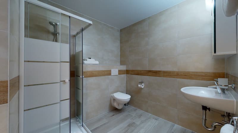 shower, sink, toilet, roll of toilet paper, faucet, towels on the shelf