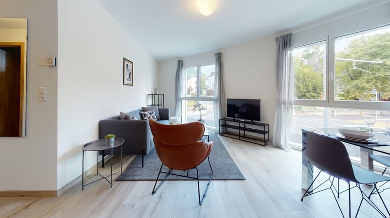 gray couch, brown armchair, tv, wooden floors, large windows, dining table