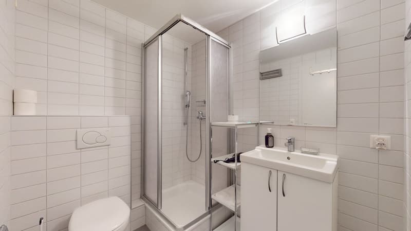 Studio spacieux dans un quartier paisible à Sierre - Disponible entre 3 et 6 mois (7)