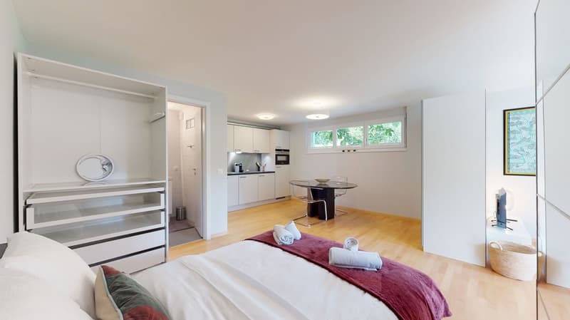 Geräumiges Studio in einer ruhigen Nachbarschaft in Sierre - Verfügbar zwischen 3 und 6 Monaten (5)