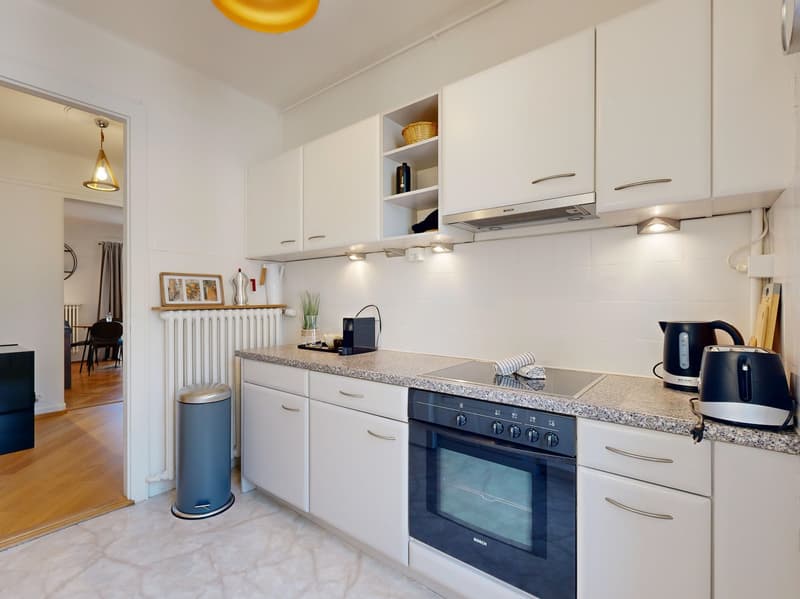 Appartement lumineux au coeur de Lausanne (3)