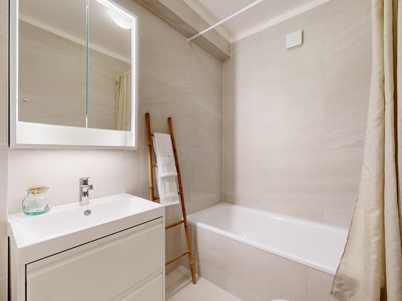 Appartement lumineux au coeur de Lausanne (5)
