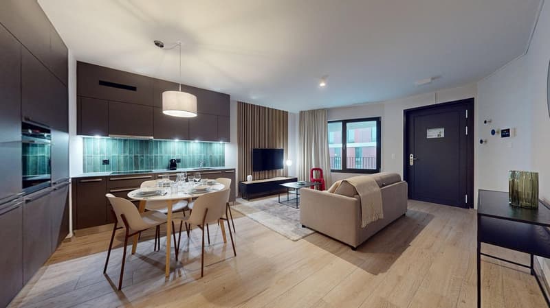 Open-concept living room and kitchen, hardwood floors, modern furniture and decor, large windows, built-in appliances, dining table with chairs
