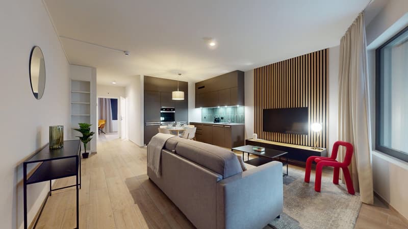 Spacious open-plan living room and kitchen with modern, minimalist design. The living room features a gray sofa, coffee table, and a red accent chair. The kitchen has dark wood cabinets, a built-in oven, and a glass backsplash. The room has large windows,