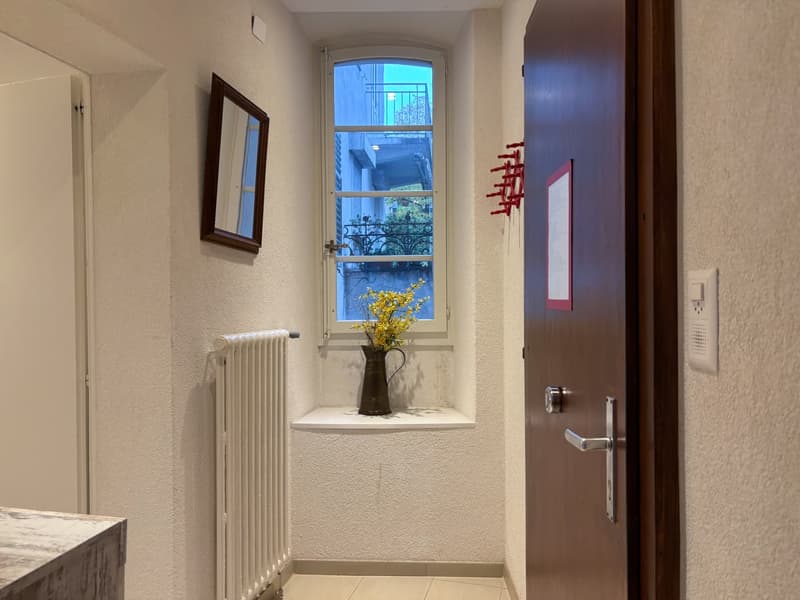 Charmant appartement au coeur de Sion (12)