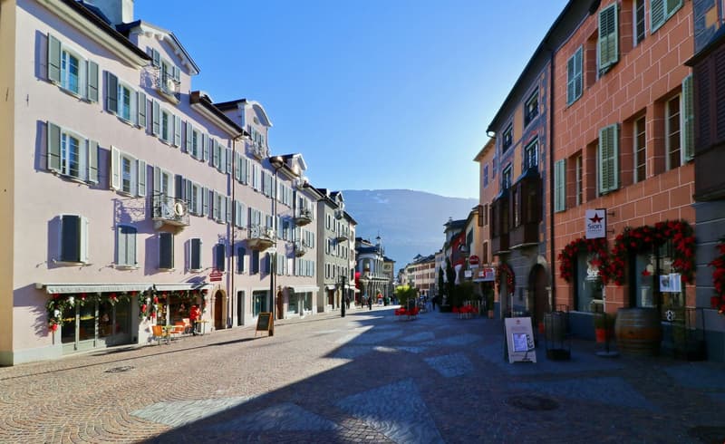 Charmant appartement au coeur de Sion (16)