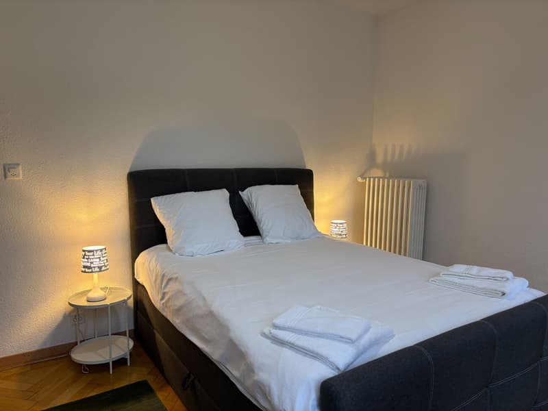 Charmant appartement au coeur de Sion (8)