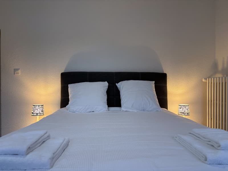 Charmant appartement au coeur de Sion (7)