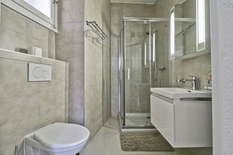 Charmant appartement au coeur de Sion (10)