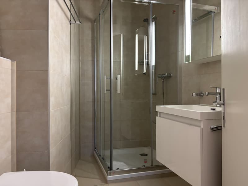Charmant appartement au coeur de Sion (11)