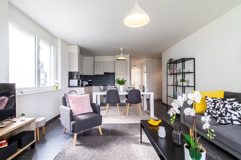 Appartement moderne et meublé, à quelques minutes du bord du lac Léman (3)