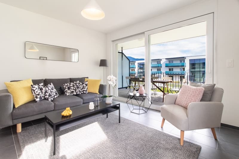 Appartement moderne et meublé, à quelques minutes du bord du lac Léman (1)