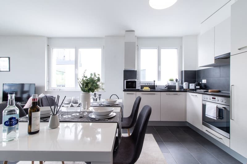 Appartement moderne et meublé, à quelques minutes du bord du lac Léman (7)