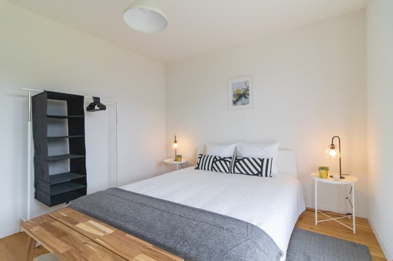 Appartement moderne et meublé, à quelques minutes du bord du lac Léman (10)