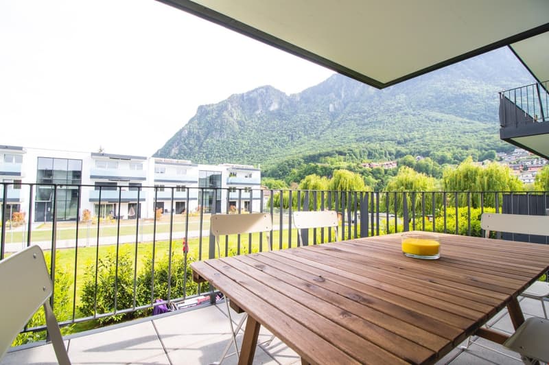 Appartement moderne et meublé, à quelques minutes du bord du lac Léman (15)