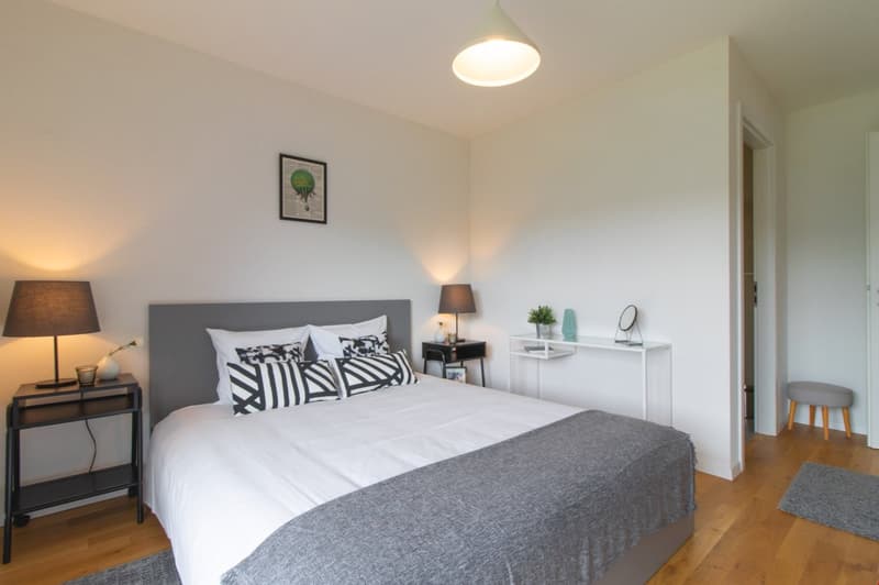 Appartement moderne et meublé, à quelques minutes du bord du lac Léman (13)