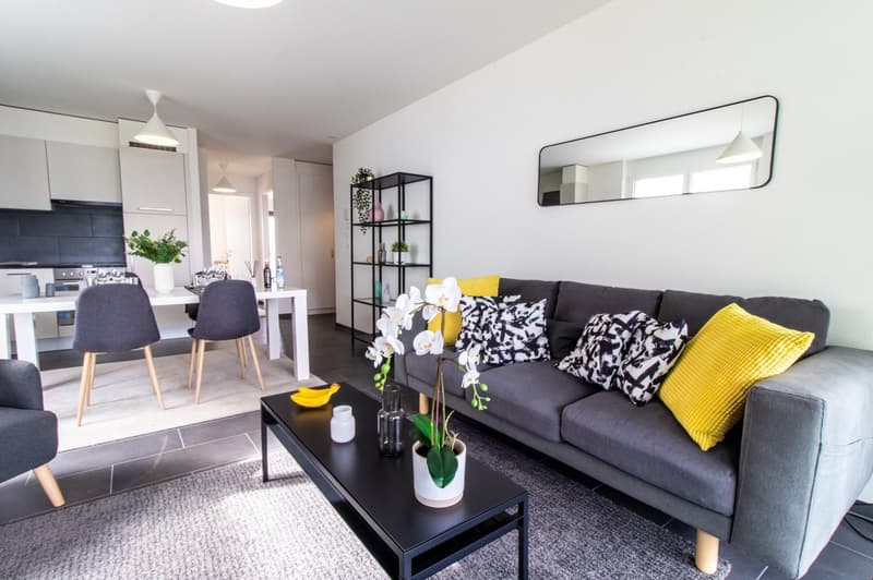 Appartement moderne et meublé, à quelques minutes du bord du lac Léman (4)