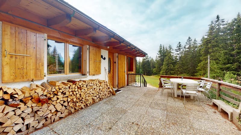 À la saison – Appartement au pied des pistes (13)