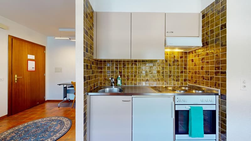 Appartement d’une chambre dans un quartier calme (4)