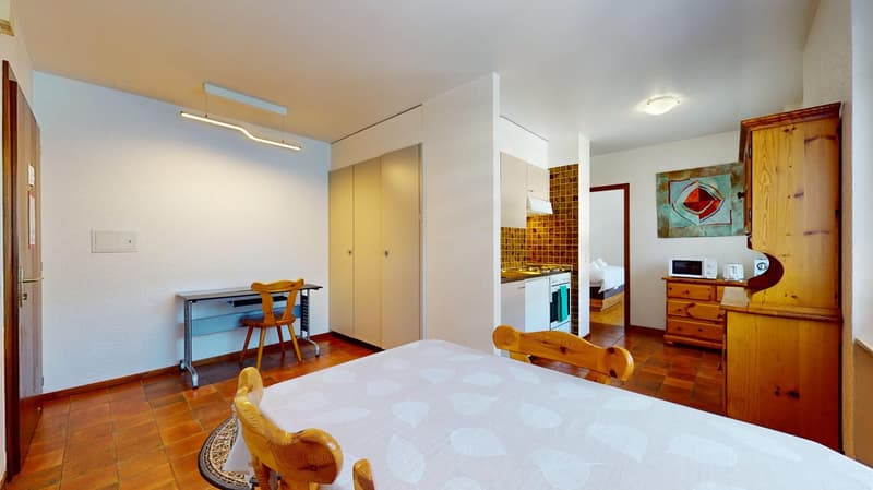 Appartement d’une chambre dans un quartier calme (3)