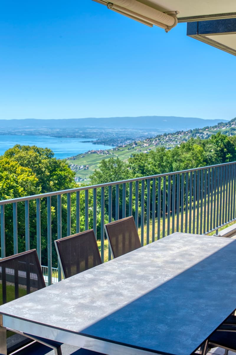 Appartement meublé de 3 pièces avec vue imprenable à Puidoux (9)