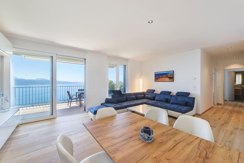 Appartement meublé de 3 pièces avec vue imprenable à Puidoux (1)