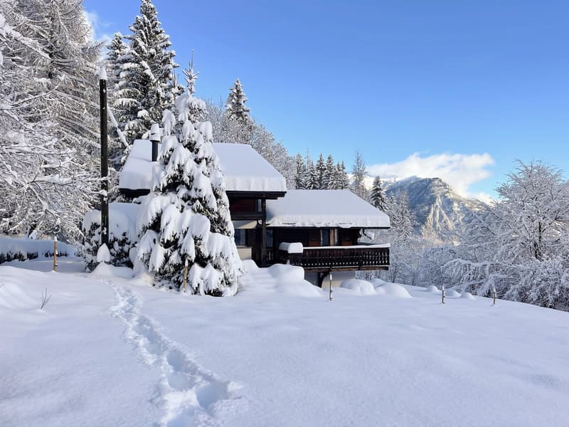 À la saison - Splendide chalet, entouré de verdure, aux Marécottes (2)