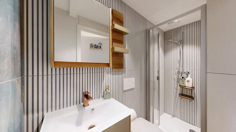Charmant studio meublé au cœur d'Estavayer (6)