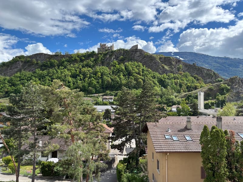 Appartement lumineux à Sion (10)