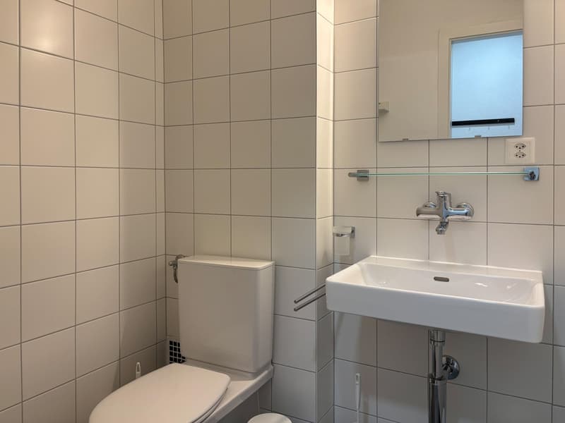 Appartement lumineux à Sion (3)