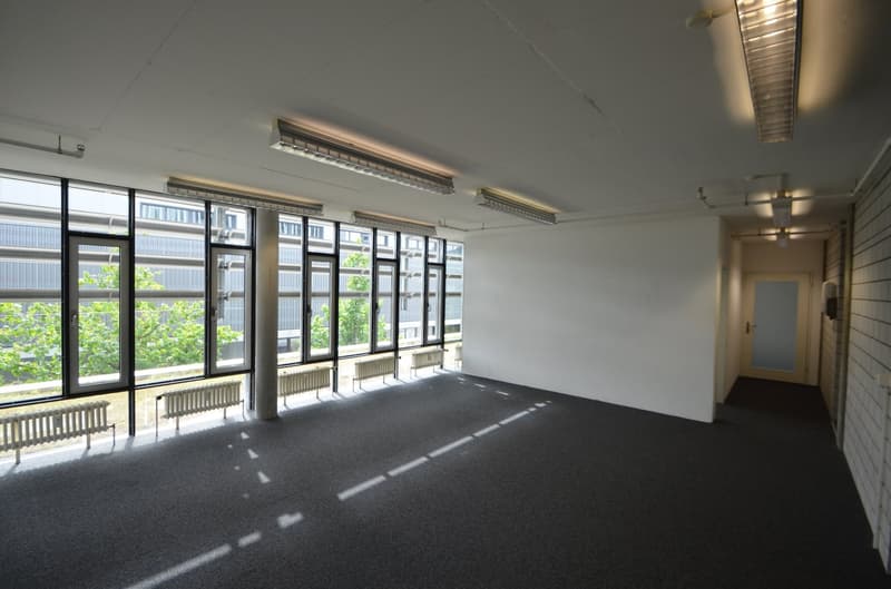 580m2 mit gut unterteilten Räume für sich alleine?!  Bei uns werden Sie fündig. (3)