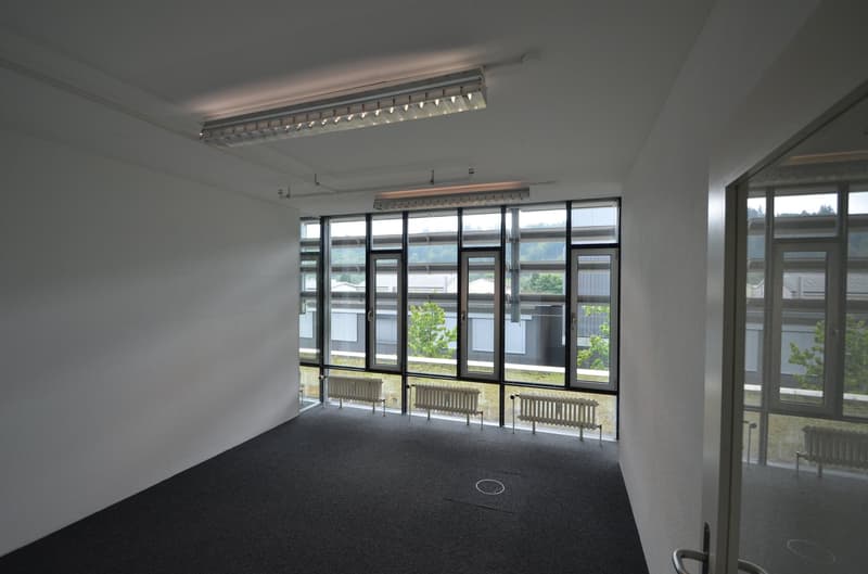 580m2 mit gut unterteilten Räume für sich alleine?!  Bei uns werden Sie fündig. (6)