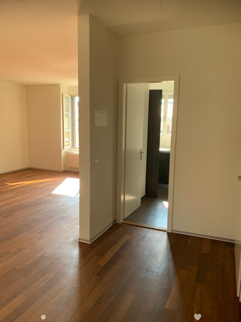 Charmante 4-Zimmer-Wohnung in ruhiger Lage von Biel (3)