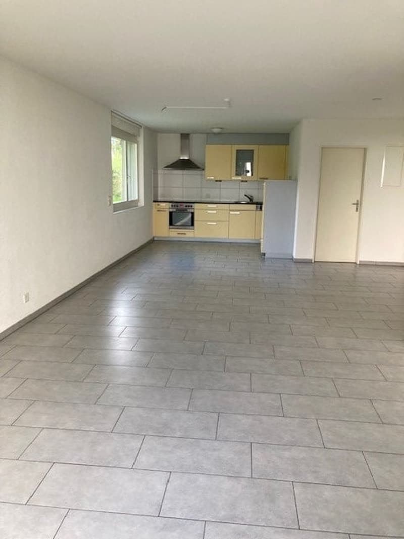 2.5-Zi-Wohnung mit Sitzplatz / inkl. Aussenabstellplatz (6)