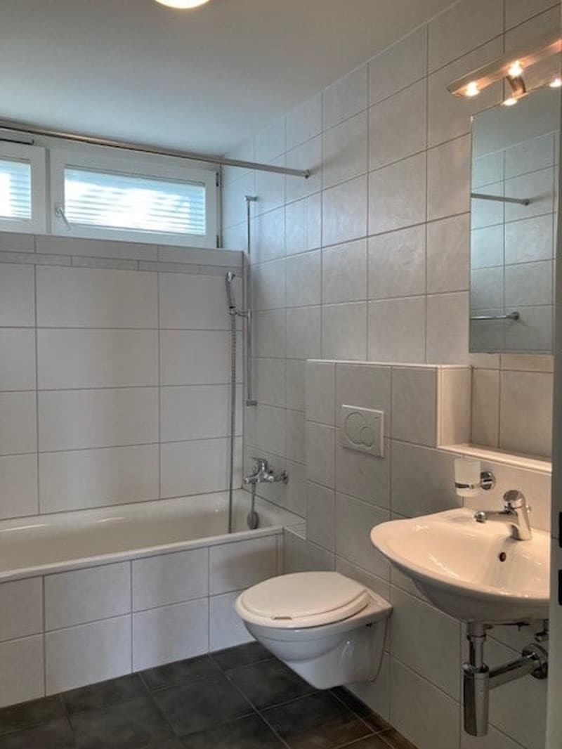 2.5-Zi-Wohnung mit Sitzplatz / inkl. Aussenabstellplatz (2)