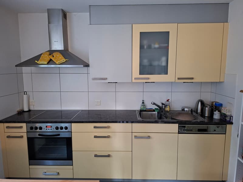 2.5-Zi-Wohnung mit Sitzplatz / inkl. Aussenabstellplatz (4)