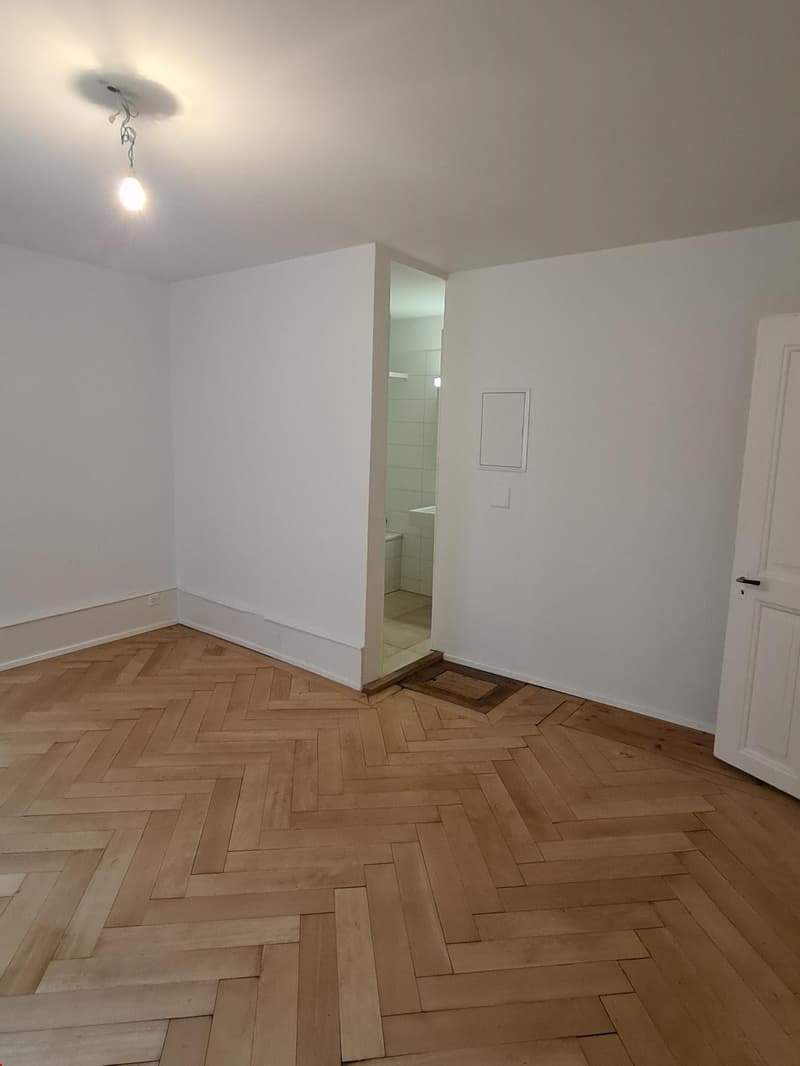 2.5 Zimmer Wohnung – angrenzend an die Altstadt (8)