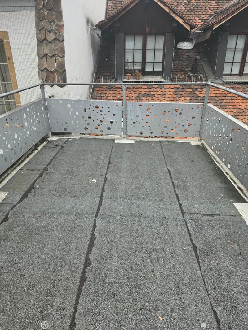 Grosse 3.5 Zimmer Wohnung mit Terrasse auf 2 Etagen (6)
