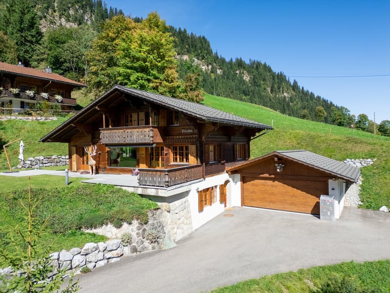 Charmantes Chalet an ruhiger Lage (1)