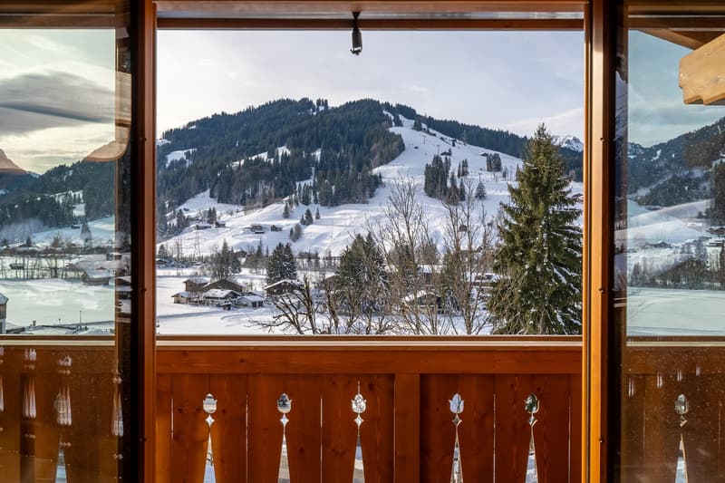 Hochwertige Dachwohnung mit bester Aussicht (7)