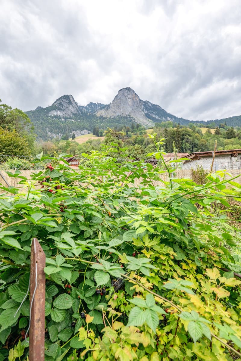 Gemütliche Haushälfte mit Garten und Potential (3)