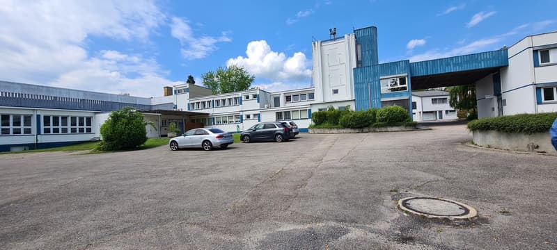 Locaux commerciaux à louer (7)