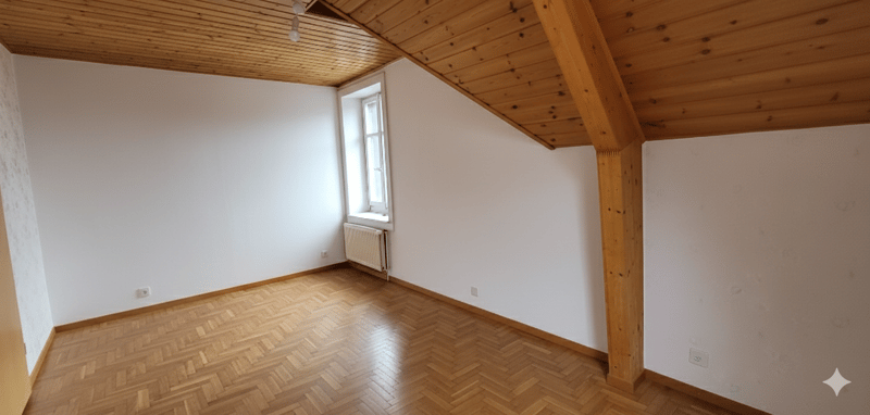 Appartement 2 pièces lumineux et rénové ! (4)