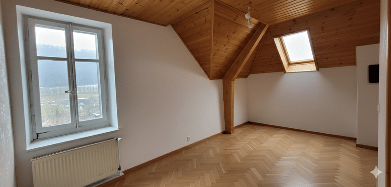 Appartement 2 pièces lumineux et rénové ! (3)