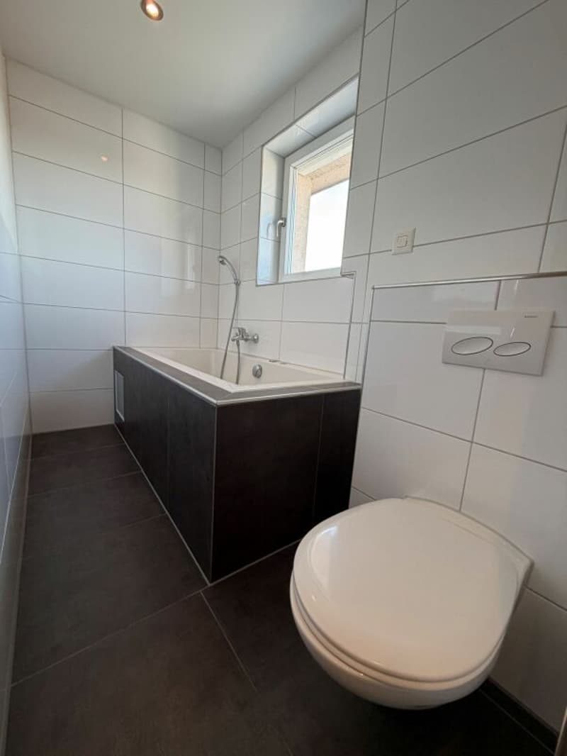 4.5-Zimmer Attikawohnung an zentraler Lage (8)