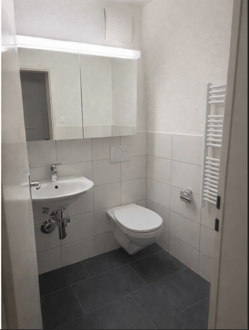 Grosszügige 3-Zimmerwohnung an ruhiger und grüner Lage (7)