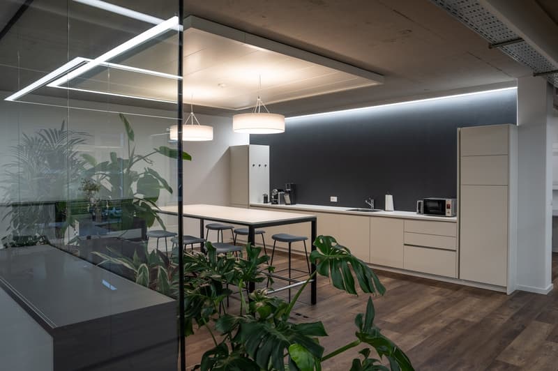 modern open plan office space with a kitchen area, dining table, chairs, ceiling-mounted lamps, potted plants, modern lighting, and sleek white cabinetry